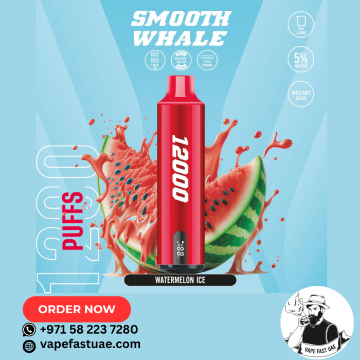 Best Smooth Whale 12000 Puffs Disposable Vape in Dubai-UAE