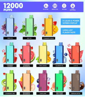 Fuumy Vape 12000 Puffs Disposable Vape – Long-Lasting Premium Vaping in UAE