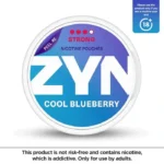 ZYN Nicotine Pouches - Image 3