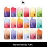 Nerd Fire 8000 Puffs