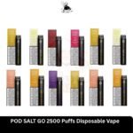 POD SALT GO 2500 Puffs