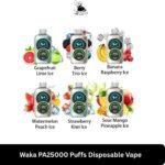 Waka PA25000 Puffs